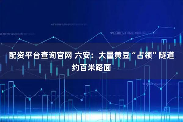 配资平台查询官网 ﻿六安：大量黄豆“占领”隧道约百米路面