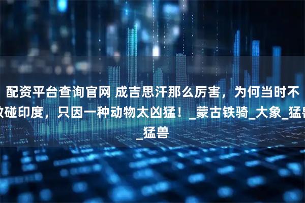 配资平台查询官网 成吉思汗那么厉害，为何当时不敢碰印度，只因一种动物太凶猛！_蒙古铁骑_大象_猛兽